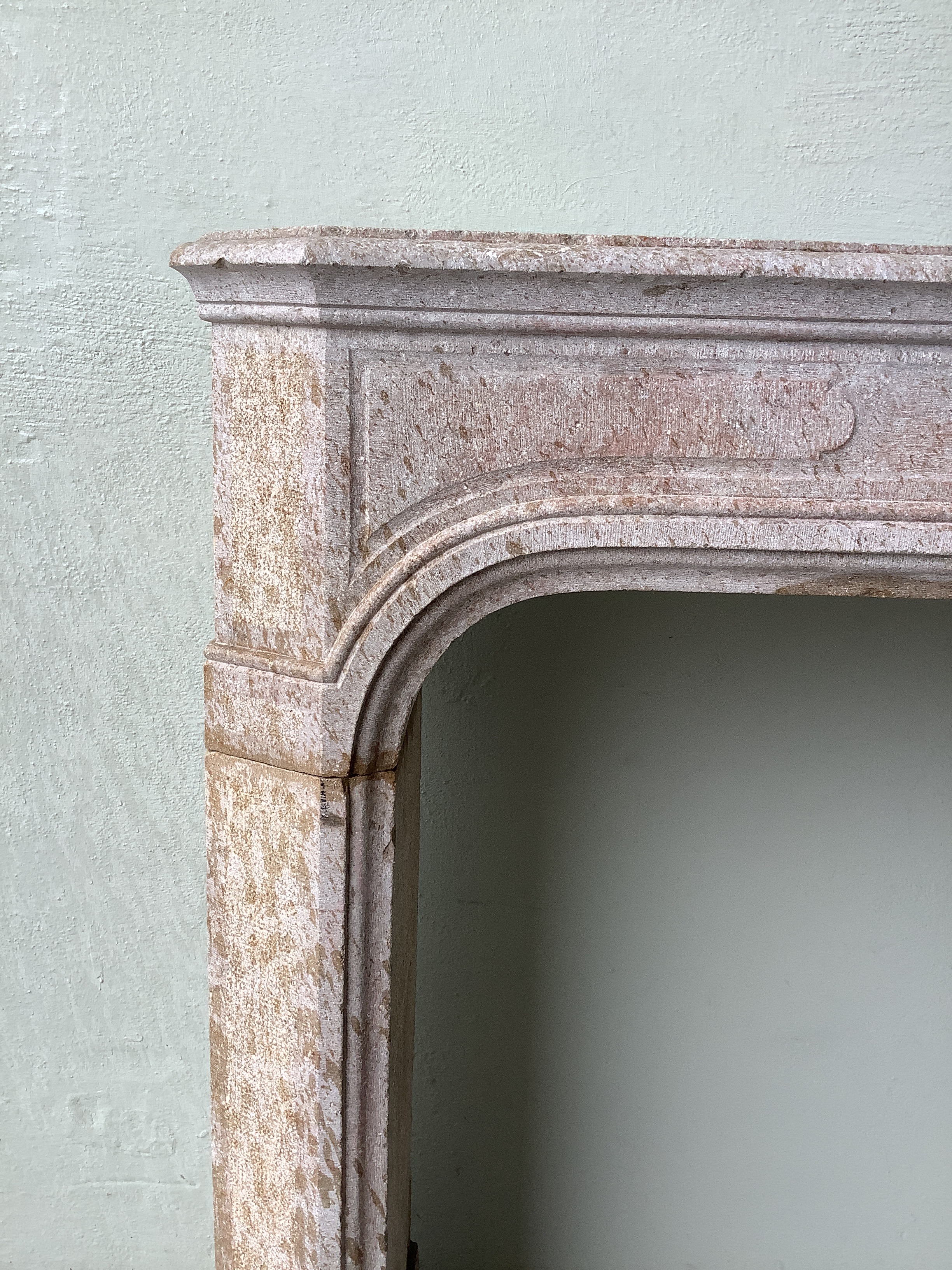 18th c Cheminee from a Maison de Maitre in Dijon, France - image 4